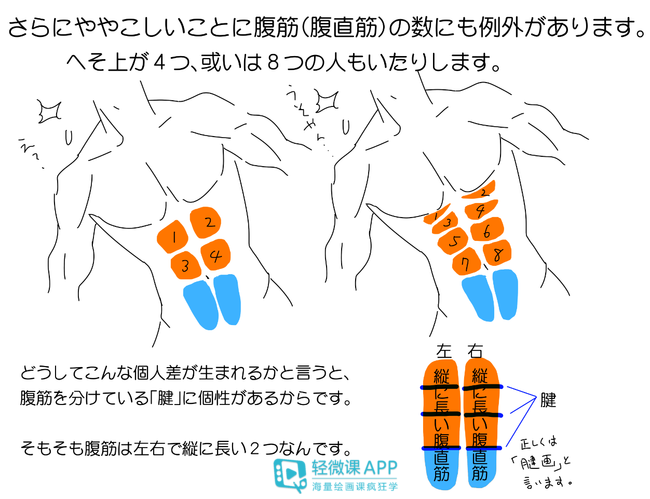 如何画男性腹肌深入了解一下