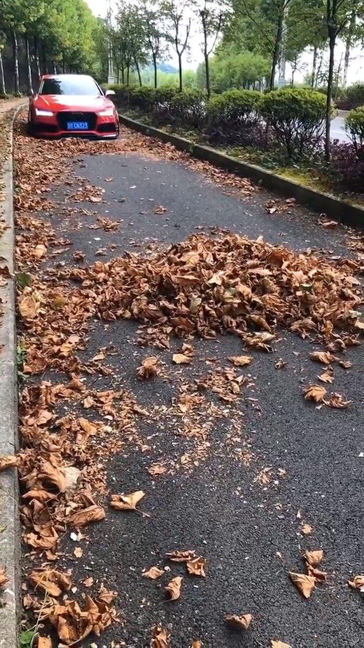 奥迪底盘太低，没想到在这里变成推土机，环卫工都乐坏了！