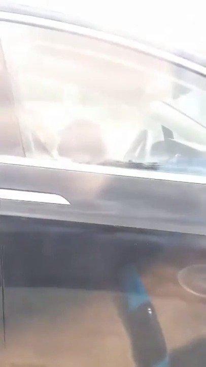 特斯拉车上的乘客和司机都睡着了……