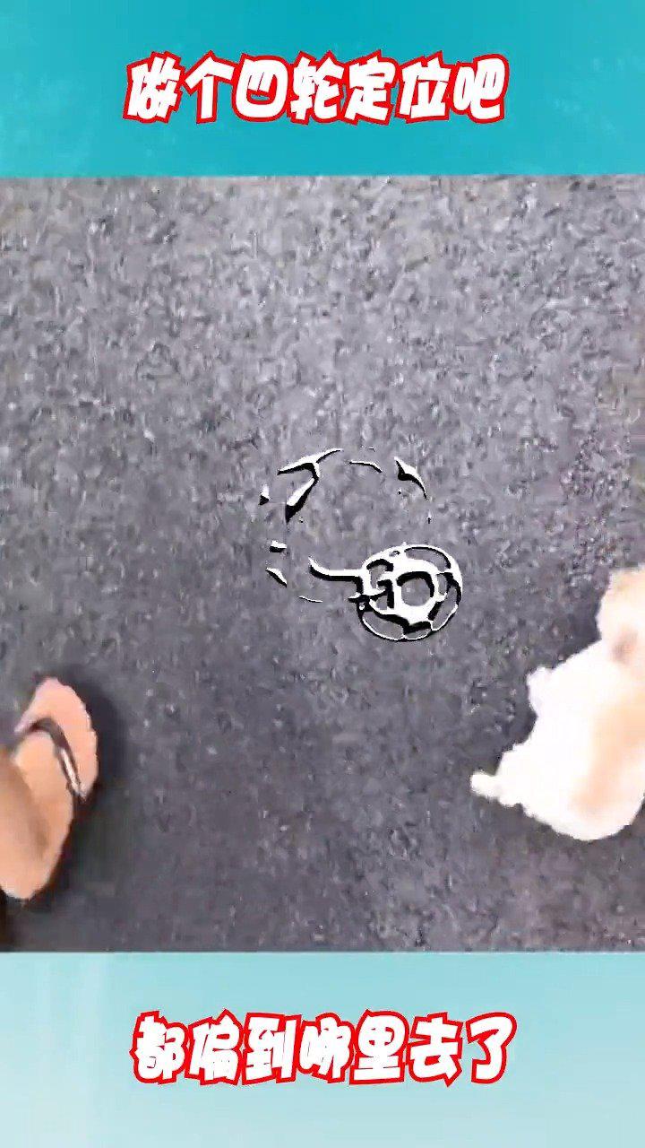 建议去做一个四轮定位吧，看看这都偏到哪里去了