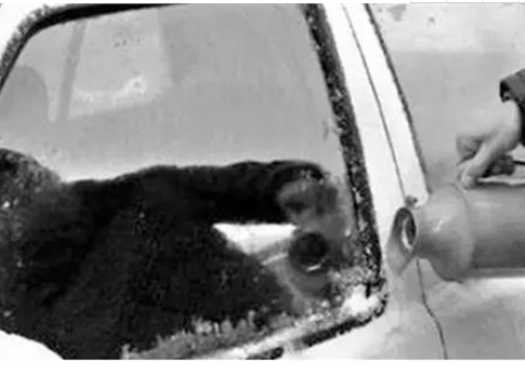 雨刮器经常被冻住怎么办？修理工教你几招，很好用