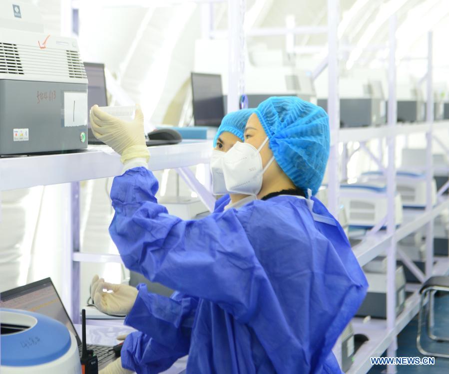 Staff members check nucleic acid samples at the nucleic acid test laboratory named Huoyan, or Fire Eye, in Shijiazhuang, north China's Hebei Province, Jan. 18, 2021. On Jan. 8, a nucleic acid test laboratory named Huoyan, or Fire Eye, was built in only 10 hours and put into use in 21 hours in Shijiazhuang. It can test up to 1 million samples a day, significantly improving the city's testing capability. (Xinhua/Jin Haoyuan)