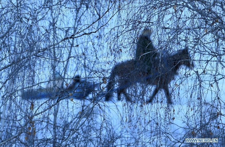 Visitors experience a ride of sleigh pulled by a horse in Hemu Village of Kanas, northwest China's Xinjiang Uygur Autonomous Region, Jan. 10, 2021. (Xinhua/Sadat)