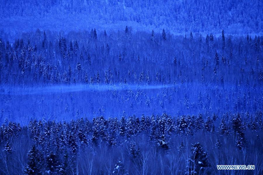 Photo taken on Jan. 10, 2021 shows the snow scenery in Hemu Village of Kanas, northwest China's Xinjiang Uygur Autonomous Region. (Xinhua/Sadat)