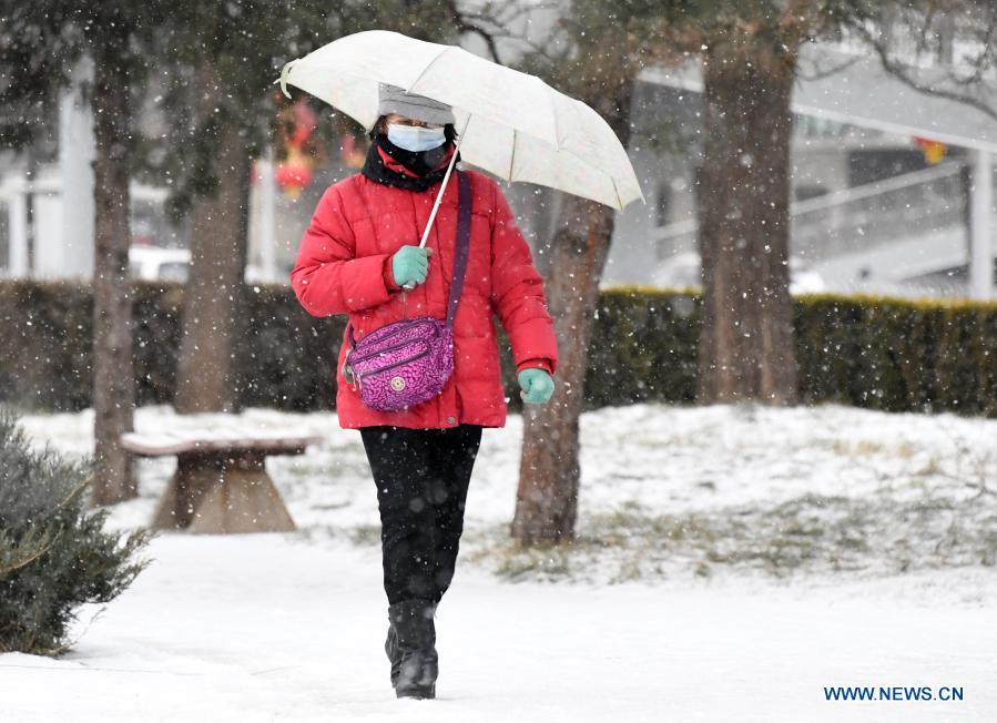 A woman walks in the snow-covered park in Beijing, capital of China, Jan. 19, 2021. (Xinhua/Ren Chao)