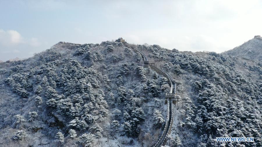 Aerial photo taken on Jan. 19, 2021 shows a snow-covered Mutianyu section of the Great Wall in Huairou District, Beijing, capital of China. (Photo by Bu Xiangdong/Xinhua)