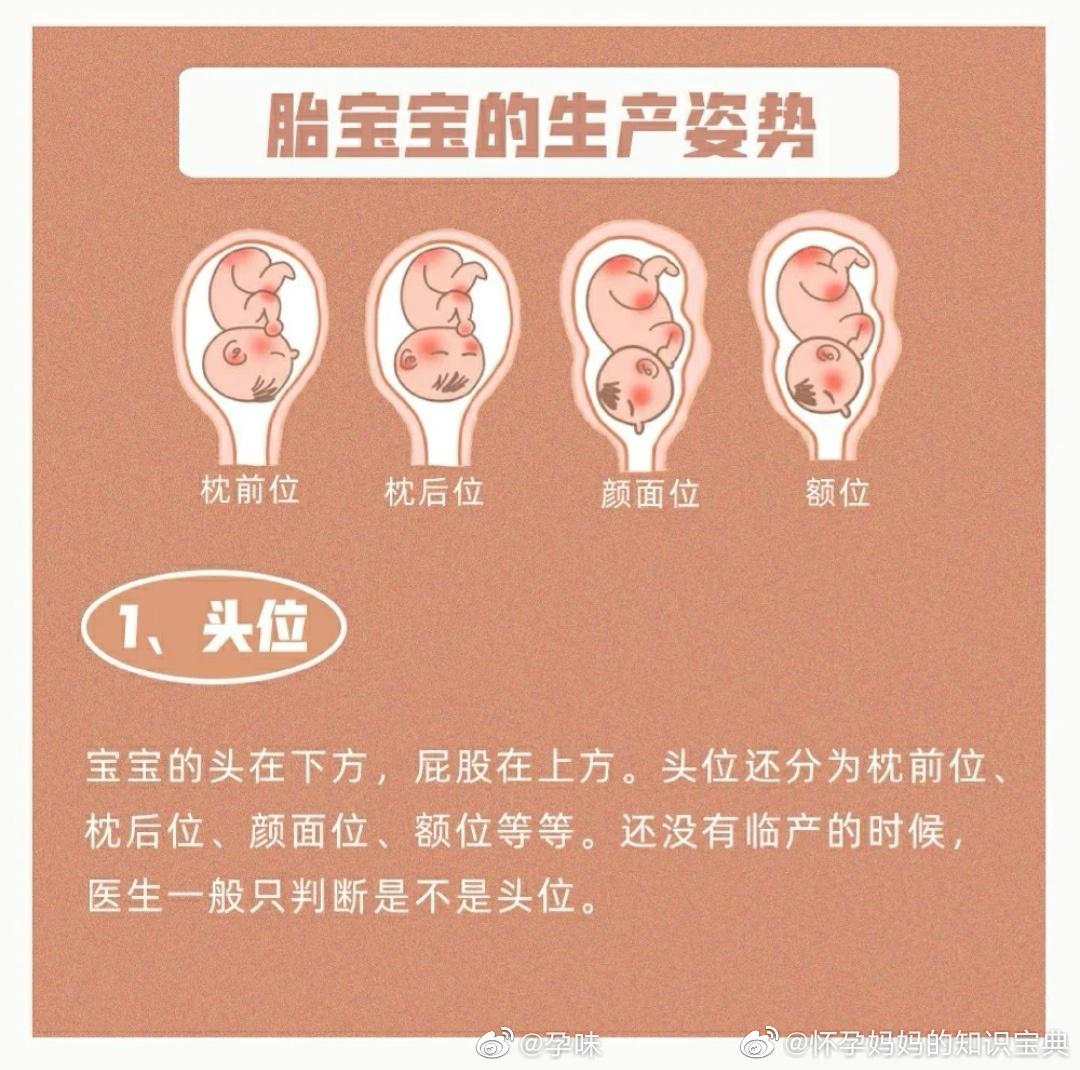 胎儿各阶段发育过程图_胎儿每周发育过程图_微信公众号文章