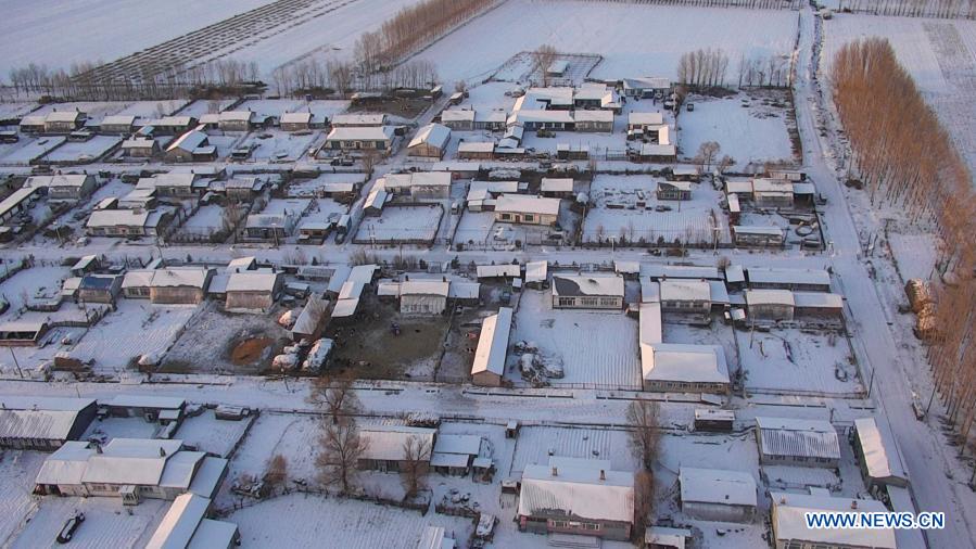 Aerial photo taken on Jan. 18, 2021 shows Hongjia Village of Wangkui County in the city of Suihua, northeast China's Heilongjiang Province. Wangkui County has been classified as a high-risk area for COVID-19 since 7 a.m. Wednesday in the wake of newly emerged cases, according to the county's epidemic prevention and control headquarters. (Xinhua)