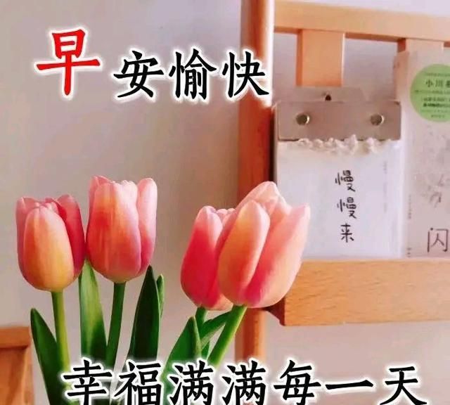 人生是一杯茶,不会苦一辈子.早安