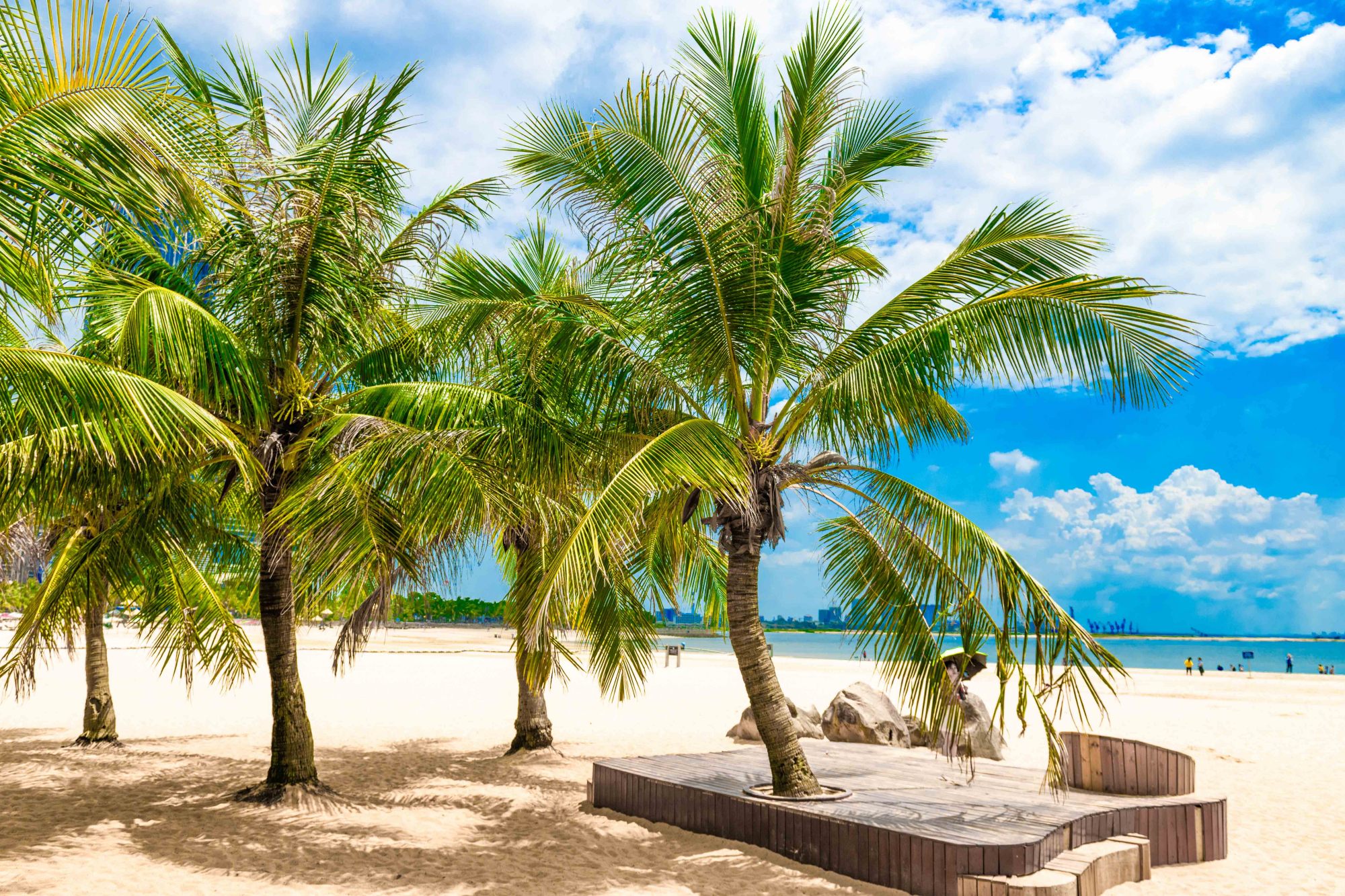 湛江特呈岛安静又悠闲，去了就不想离开的绝美海岛