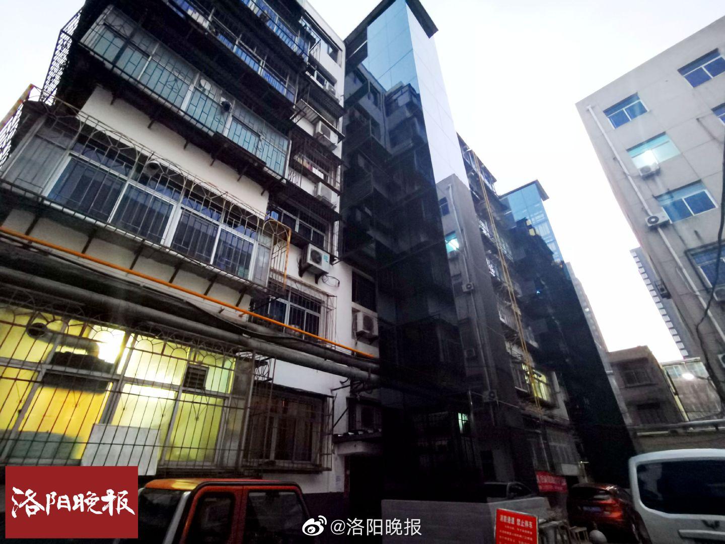 人口洛阳_洛阳牡丹(3)