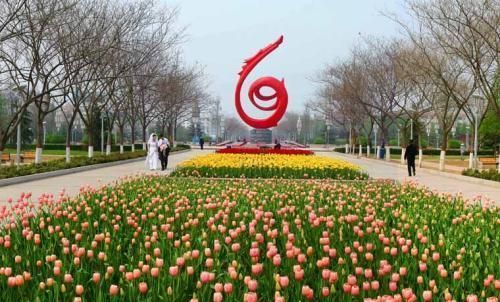 濮阳人口_6月底前,濮阳常住人口疫苗接种率要达40%(2)