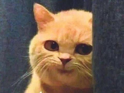 学起来，这5个车漆养护注意事项得上心，养好漆车才新！