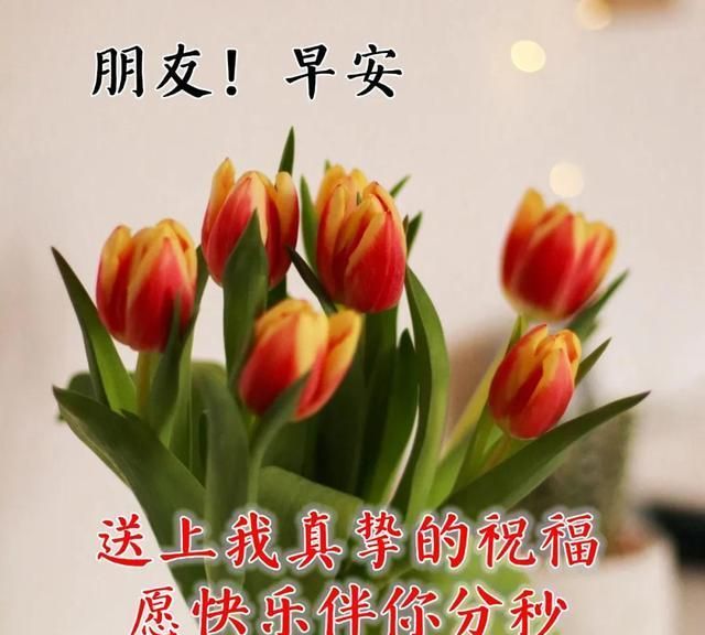 最漂亮早上好图片大全动态表情 问候大家早上好的图片祝福语