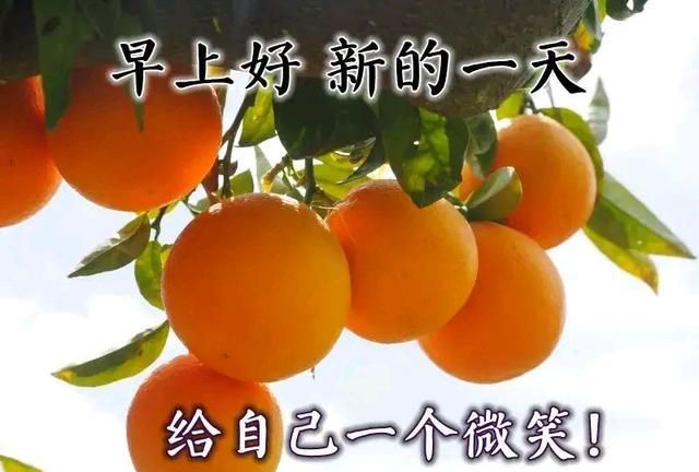 2021年友谊早安图片,早安图片2021新图片 2021牛年大吉早安问候图片大全,最美早上好动态祝福表情包