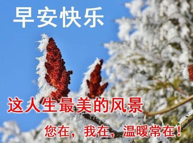 2021年小年早安图片,2021年小年早上好图片 腊月廿三小年 早安问候动态图,早晨好问候美图大全