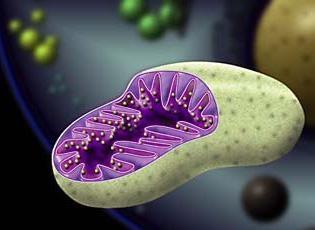 怎么建立一个公司