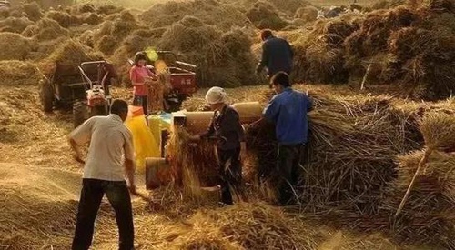 年收入在5万左右,在中国算什么水平?终于有了答案 年收入在5万左右,在中国算什么水平?终于有了答案