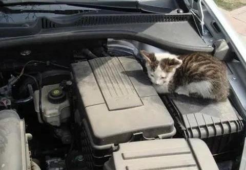 没有车库,汽车露天日晒雨淋,对汽车的寿命影响究竟有多大?