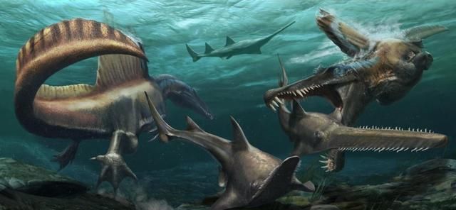 水下恐龙杀手的外形又有变化!尾巴像鳗鱼,嘴像涉禽