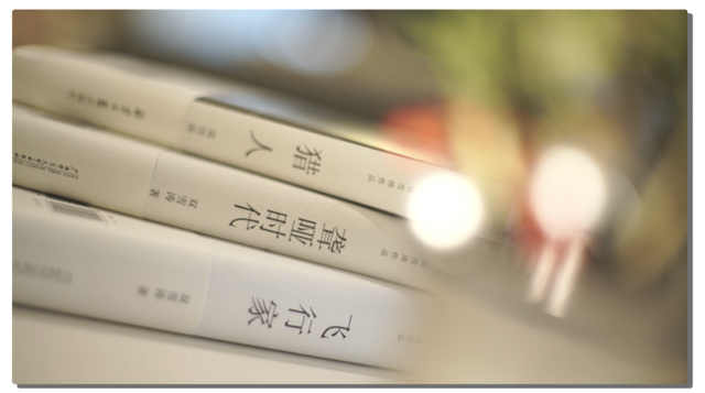 《刺杀小说家》原著作者双雪涛：小说家的小说与现实