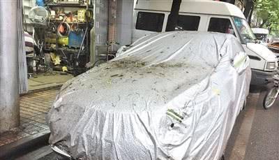 汽车小编的养护心得,了解这些爱车动力充沛,十年不动一扳手