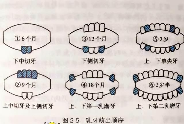 宝宝长牙时间表:7个表现说明宝宝正在长牙,父母注意正确护理