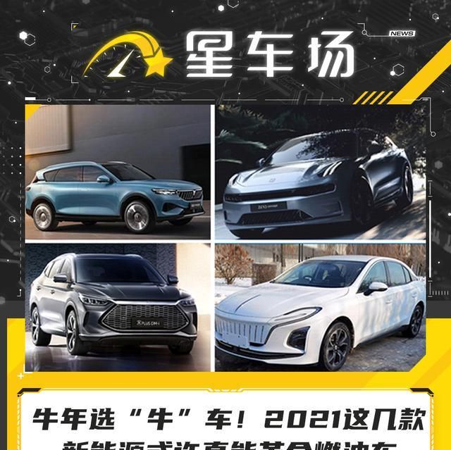 牛年选“牛”车!2021这几款新能源或许真能革命燃油车