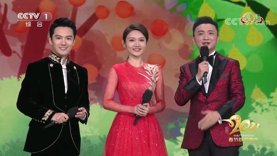 2014年春晚主持人,2002年春晚主持人 央视主持人张韬从夜播到春晚只用了一年果然好看的皮囊受欢迎