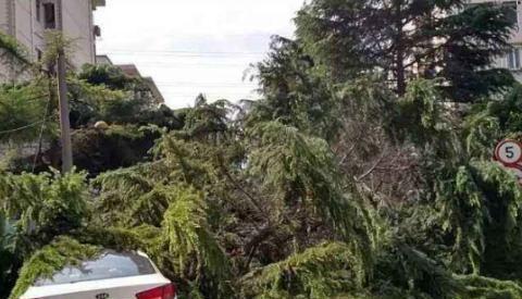 没时间做保养?但这3个地方不能不管,不然驾车不安全