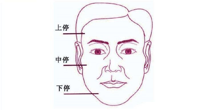 面相命理学上脸部这5个部位有疤的话都象征着什么