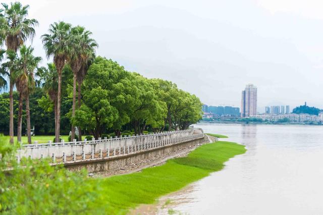 江心屿是我国的四大名屿之一，风景与鼓浪屿媲美，被誉为瓯江蓬莱