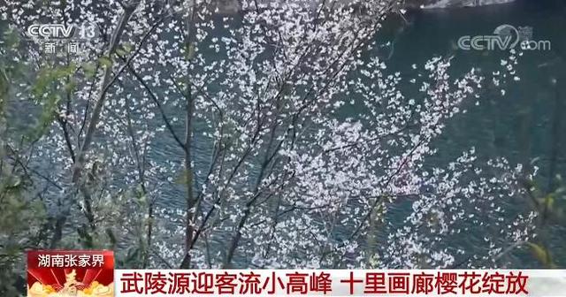 我国多地气温下降挡不住客流 各地群众旅游过年兴致不减图3