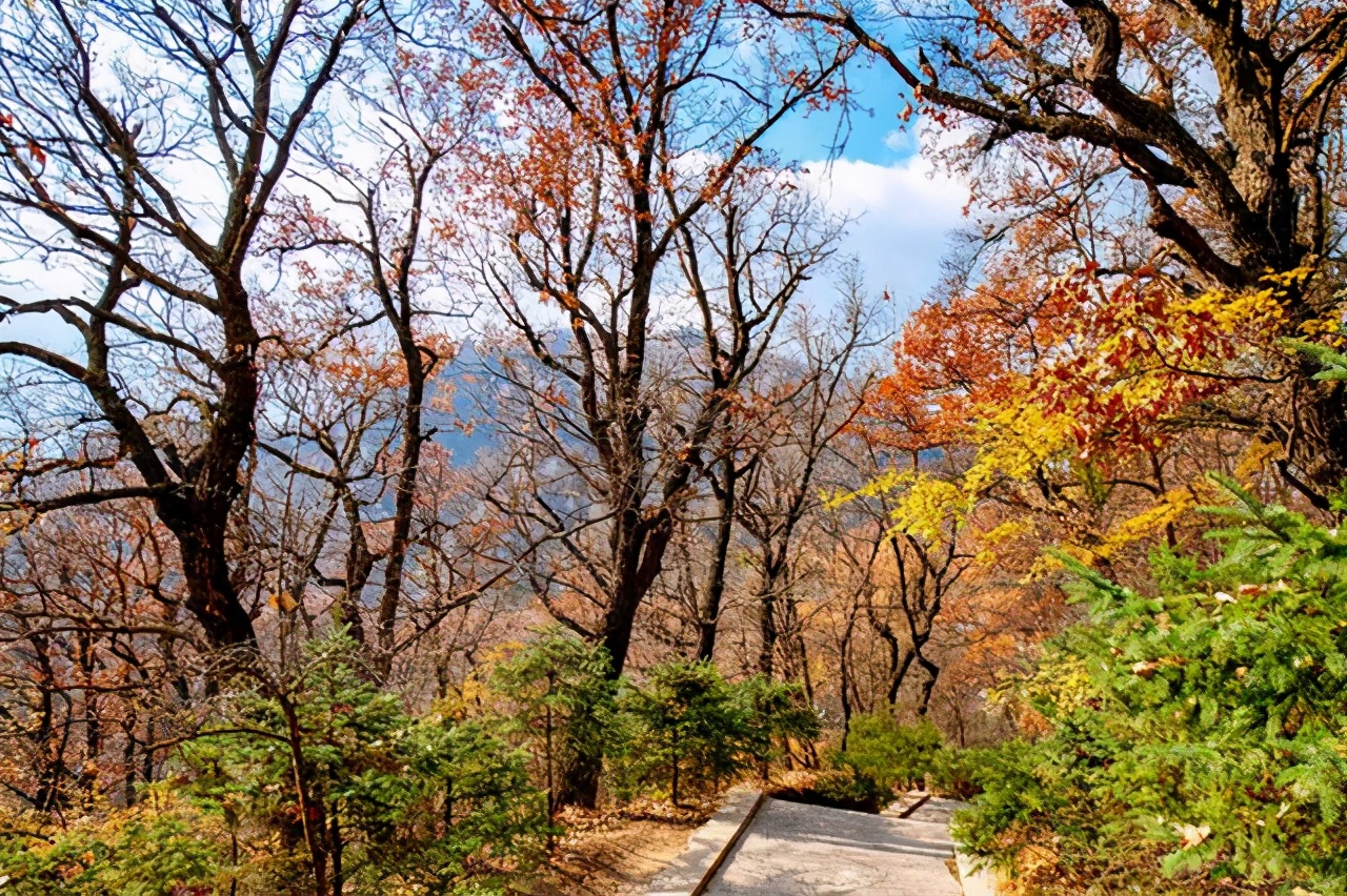 来看看中国道教第一山吧！道家香烟袅袅之下的山清水秀
