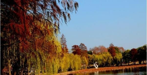 武汉的东湖风景区,被称为“白云黄鹤的地方”,旅游观光的好去处