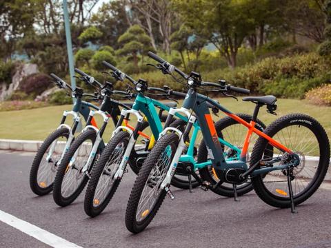 新推出3款电动自行车，续航与动力表现都不错，你看好哪款车型？