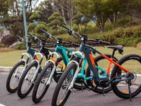 新推出3款电动自行车,续航与动力表现都不错,你看好哪款车型?