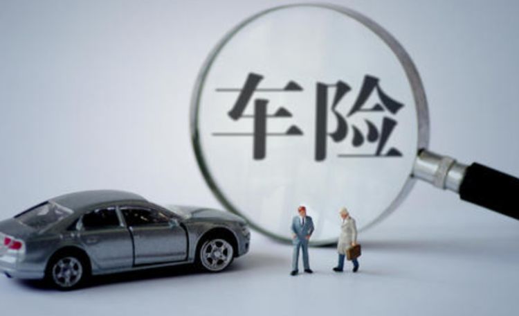 车主只购买了交强险和三者险，肇事致人伤亡，保险公司会怎么赔？