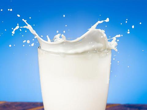 氧分呗：多种与牛奶相关的小知识