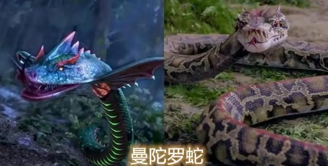 除了角色敷衍之外,魂兽的对比,泰坦是雪猿,曼陀罗蛇是