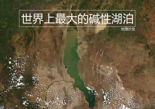 位于非洲东部的"图尔卡纳湖",是世界上最大的永久性沙漠湖泊