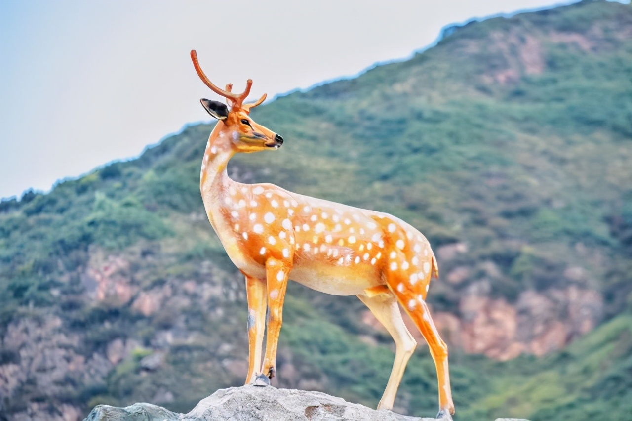 甘肃南部藏了个小江南，当地的圣湖和梯田美得不可思议！