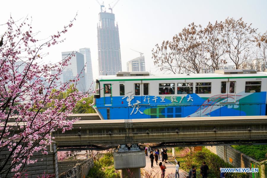 A monorail train runs past blooming flowers at Fotuguan section of Chongqing metro line 2 in southwest China's Chongqing Municipality, Feb. 23, 2021. (Xinhua/Liu Chan)