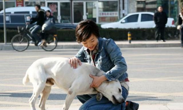 以我家的刀具为例