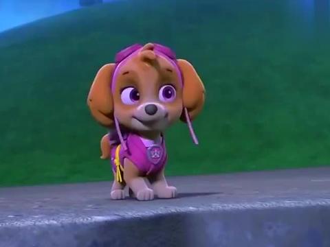 汪汪队：天天要去搜索,小猫咪们在岩石那边消失的地方！找到脚印