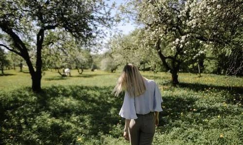 写给大学迷茫的你:“不要用经典传奇网页版上的勤奋,来掩盖战略上的懒惰”