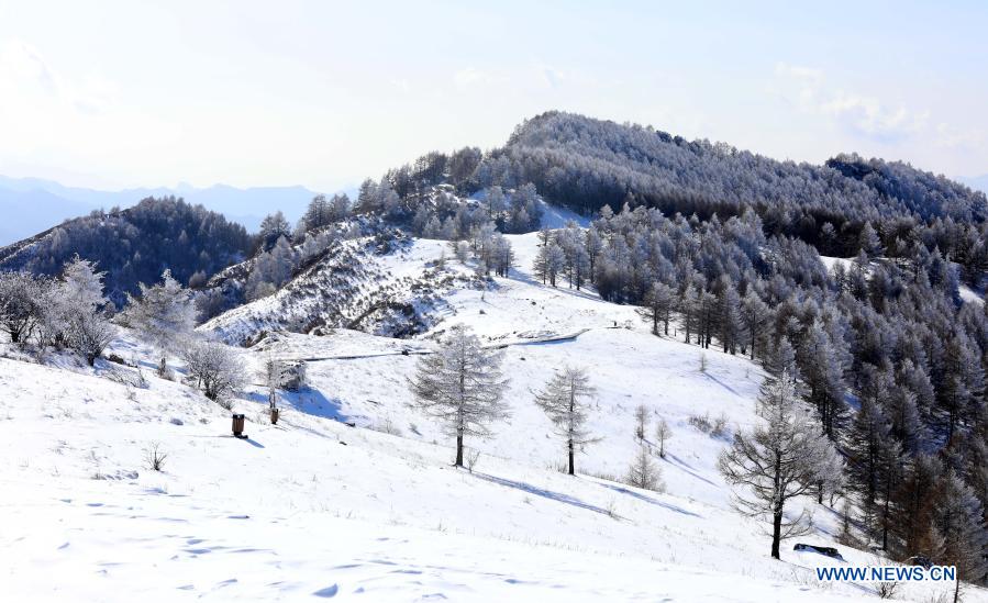 Photo taken on March 1, 2021 shows the scenery of Tuoliang scenic area in Pingshan County, north China's Hebei Province. (Photo by Liang Zidong/Xinhua)