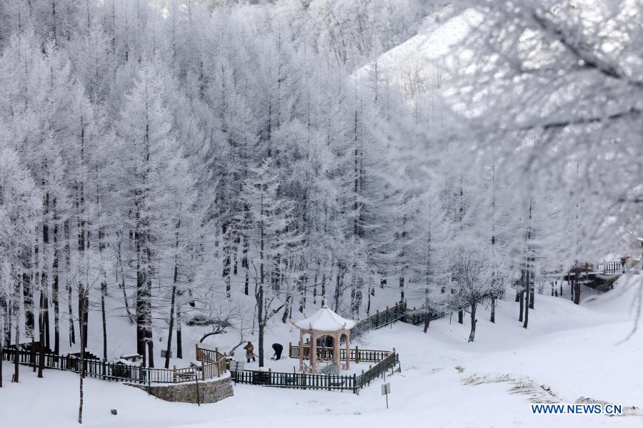 Photo taken on March 1, 2021 shows the scenery of Tuoliang scenic area in Pingshan County, north China's Hebei Province. (Photo by Xu Jianyuan/Xinhua)