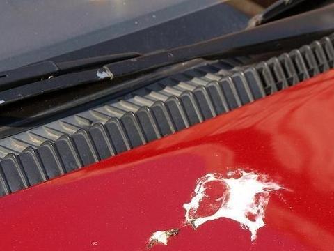 往汽车里添玻璃水有什么需要注意的嘛,不要马虎,不然后果严重