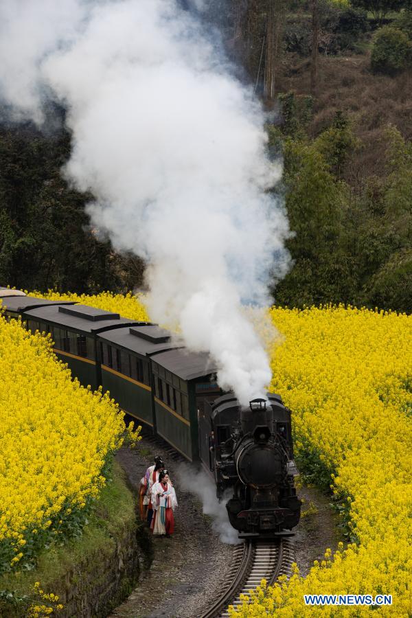 A train runs through cole flower fields in Qianwei County, southwest China's Sichuan Province, March 2, 2021. The old-fashioned steam train, running on a narrow gauge railway in Qianwei County, serves mainly in sightseeing. As increasing number of tourists visit the county in recent years, the train itself has become an attraction providing a journey of reminiscence. (Xinhua/Jiang Hongjing)